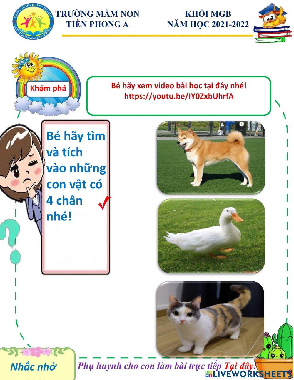 Bé hãy quan sát và làm theo yêu cầu của bài tập nhé