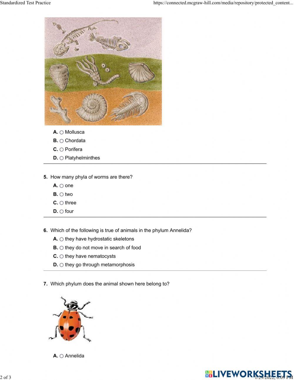 Introduction to animals chapter test rev