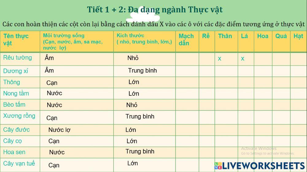 ĐẶc điểm thực vật