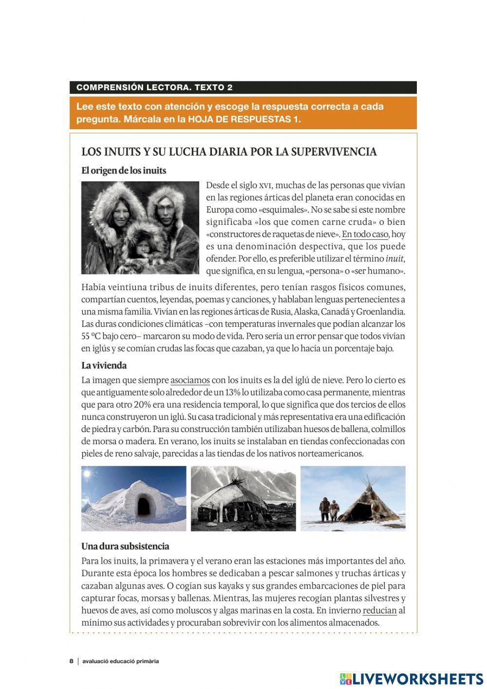 CCBB castellà curs 2018 19