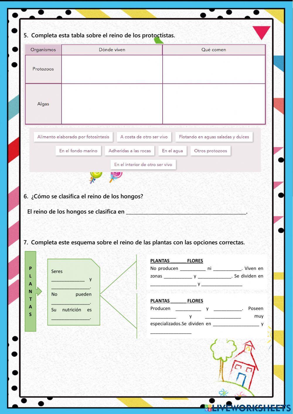 Clasificación de seres vivos