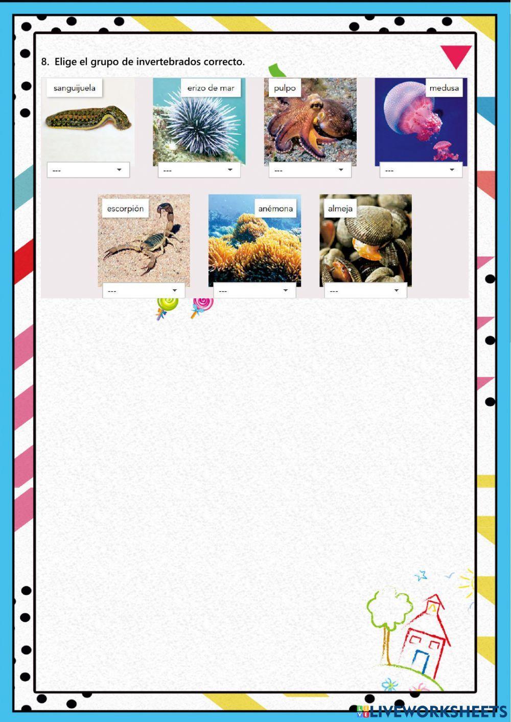 Clasificación de seres vivos