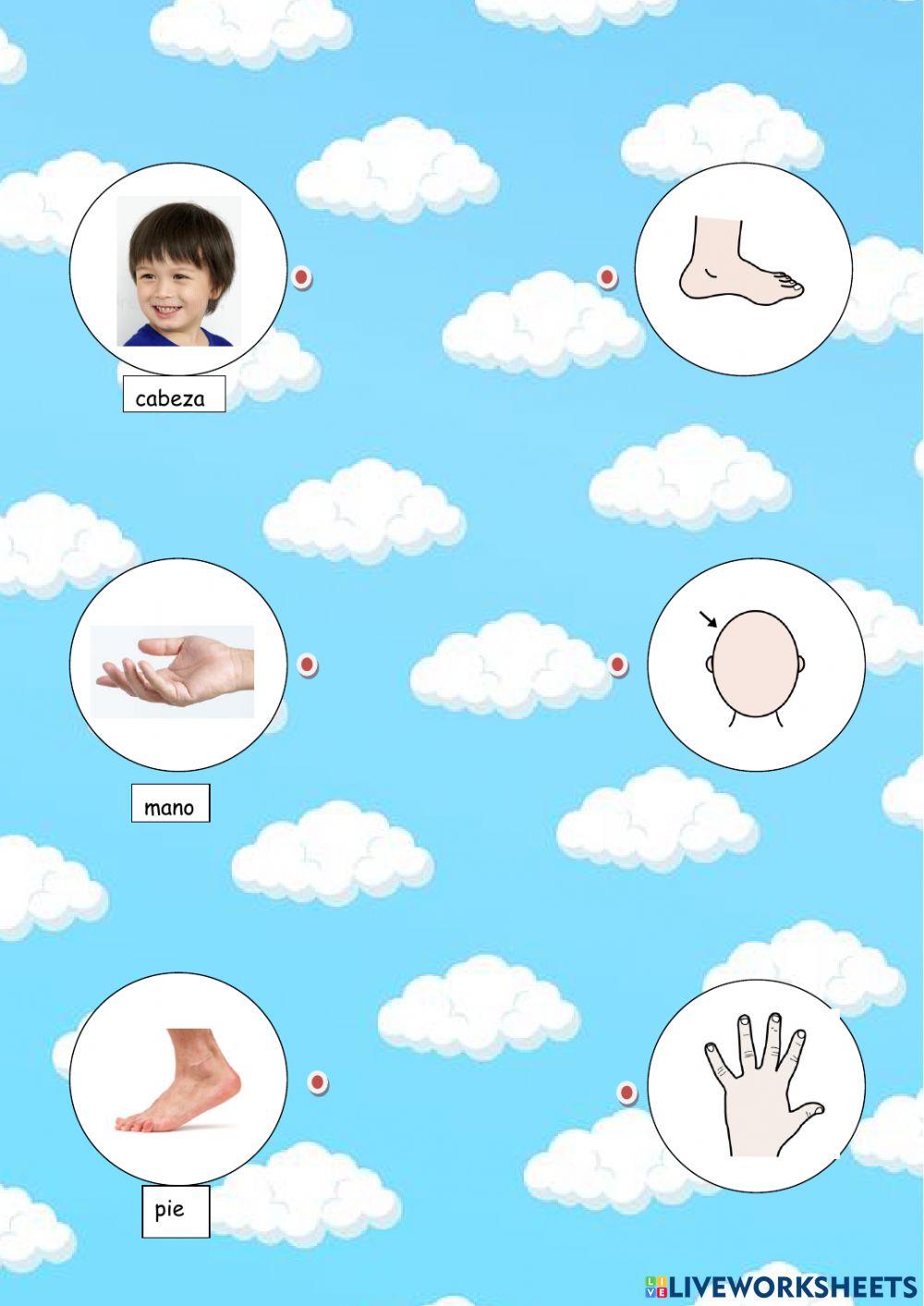 Relaciona foto con pictograma