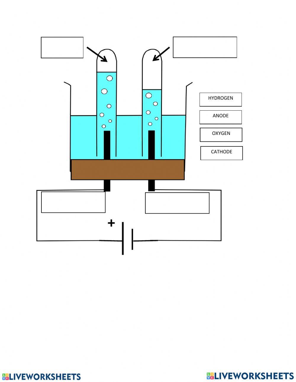 Science periodic table