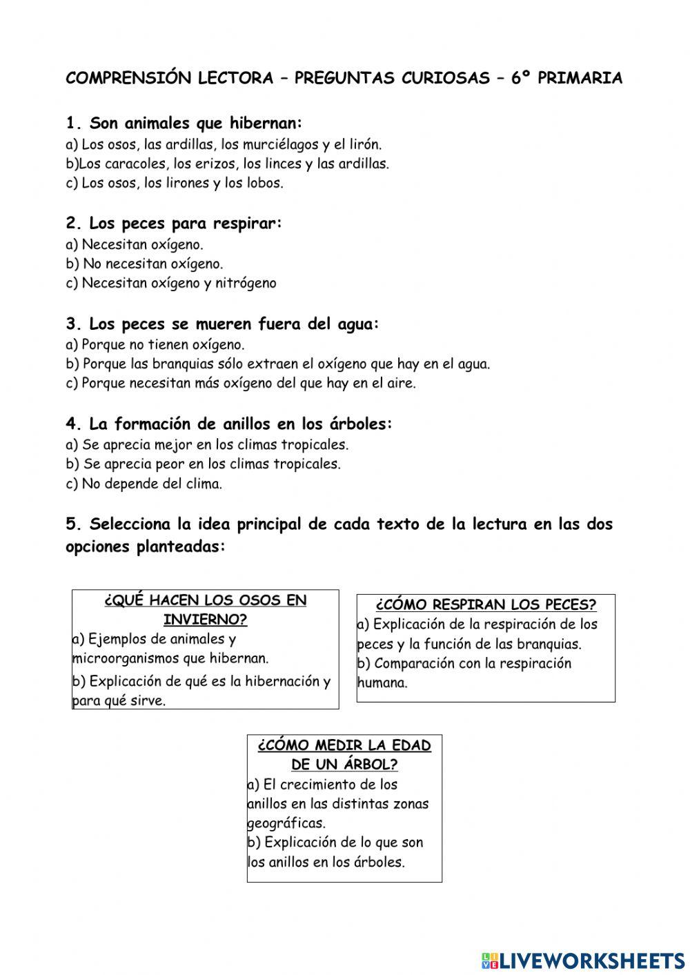 Comprensión lectora preguntas curiosas