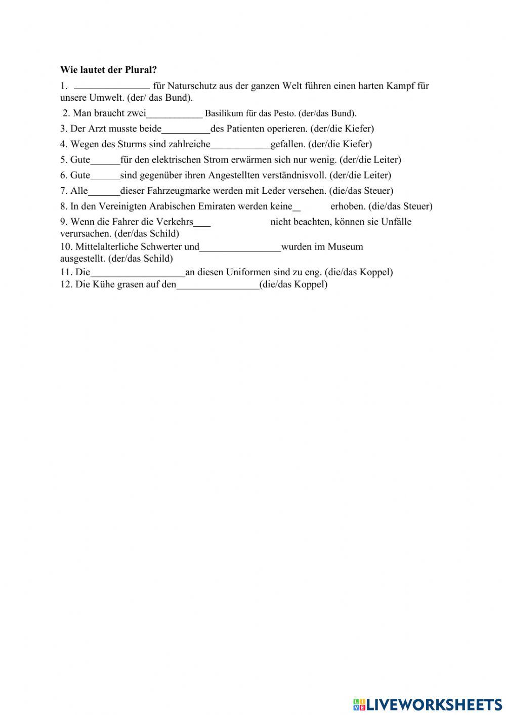 Besonderheiten der Pluralbildung