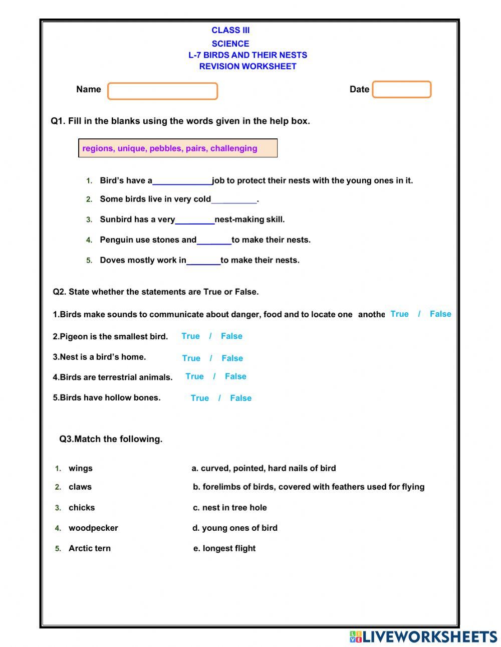 Birds and their nests