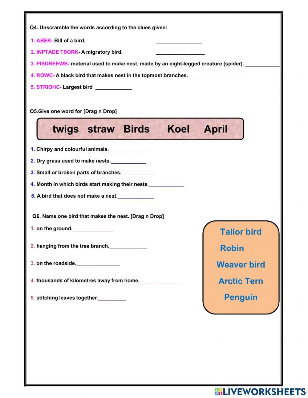 Birds and their nests