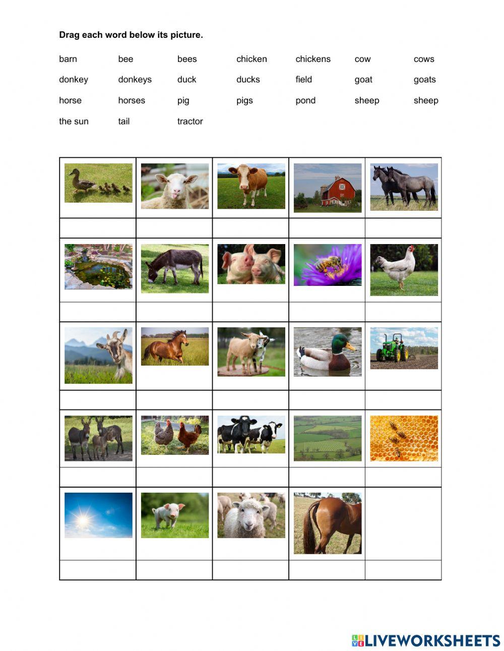 Farm Vocabulary Homework