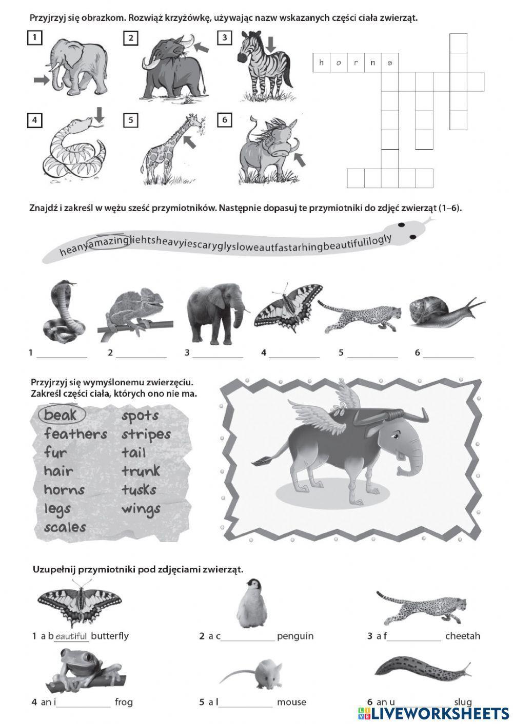 Link dla klasy 5 - Unit 5 Vocabulary