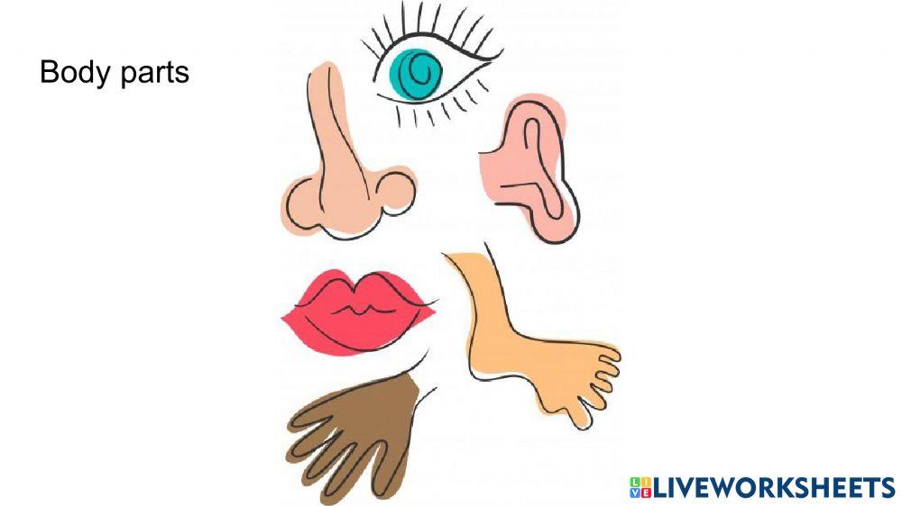 Body parts