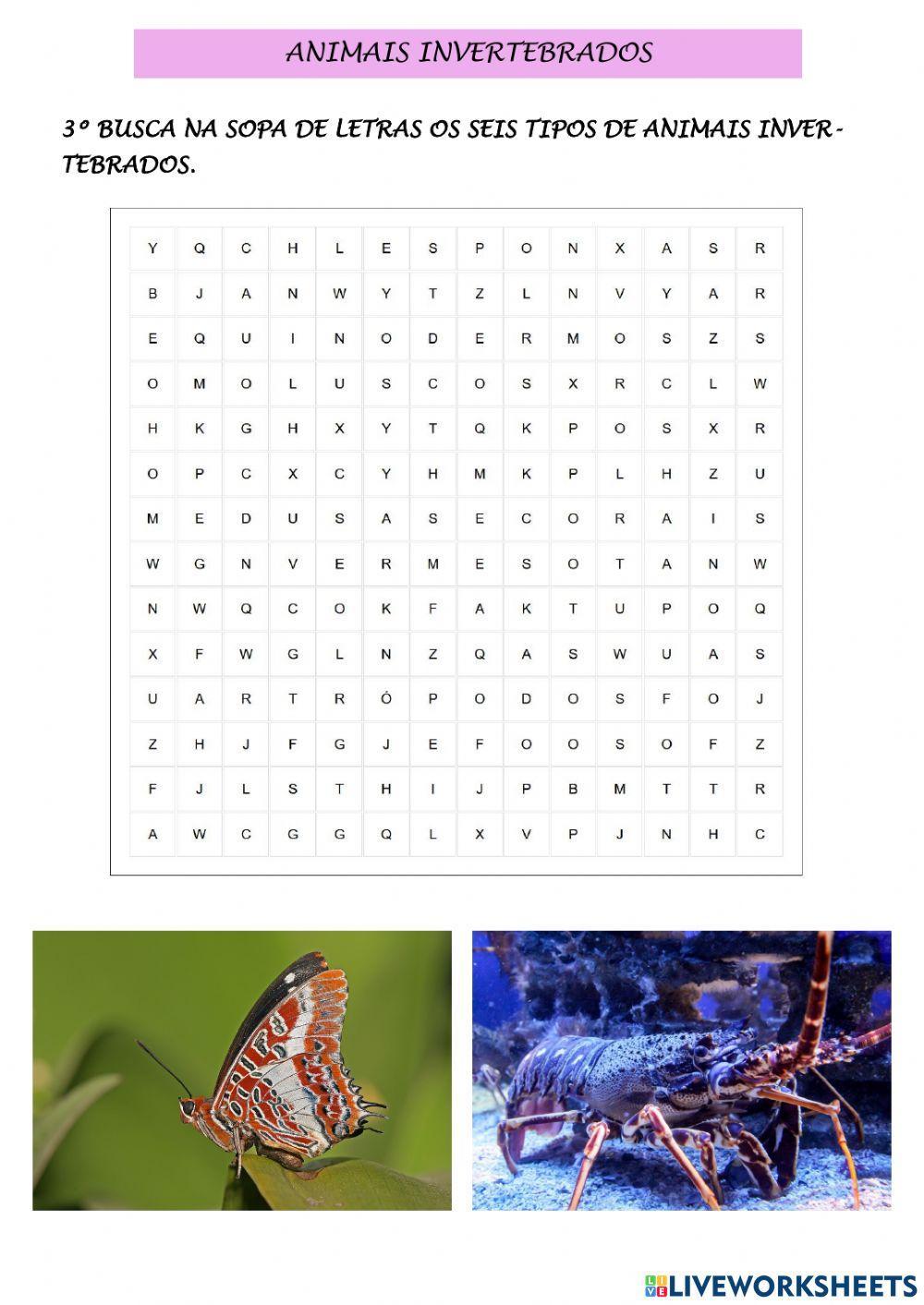 Animais invertebrados