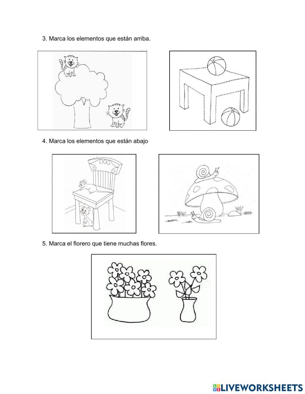 Evaluación matematicas