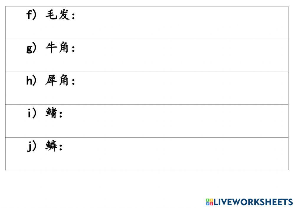 动物各部位的重要性和功用