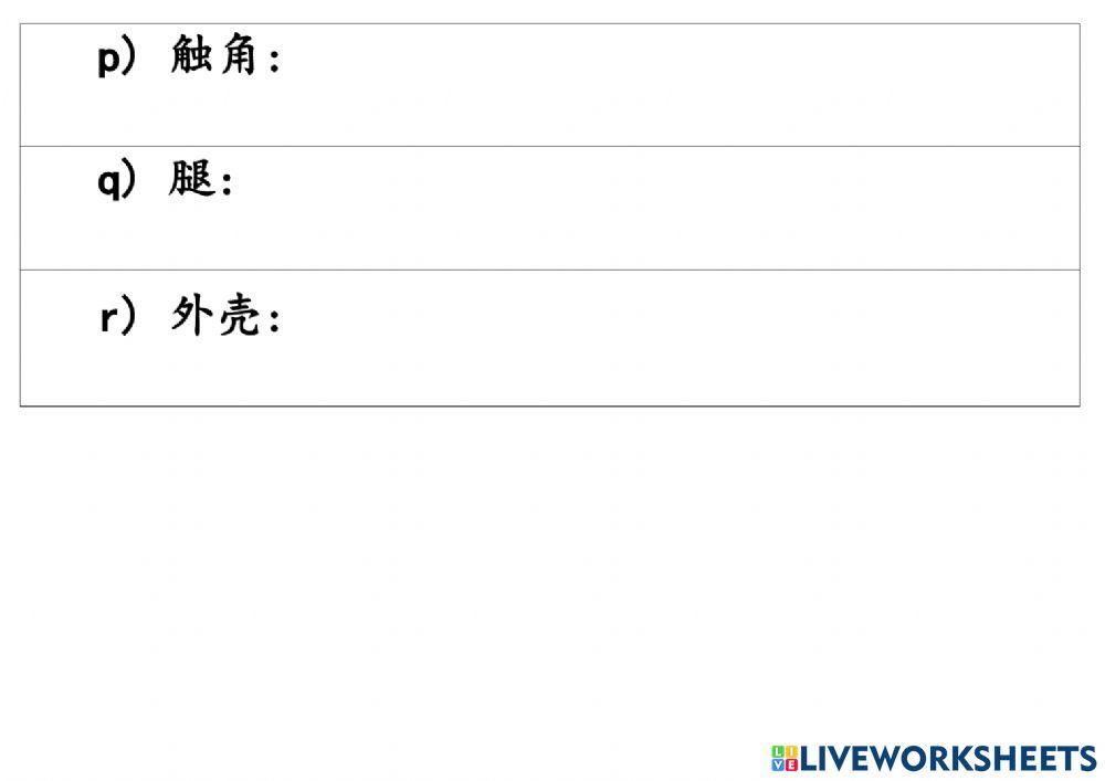 动物各部位的重要性和功用