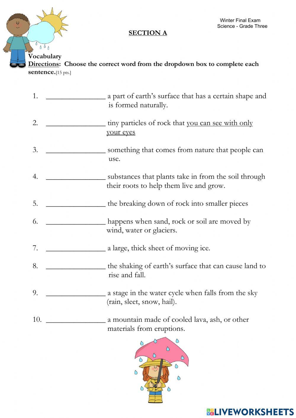 Branches of Science Review Worksheet, image size:1000x1413