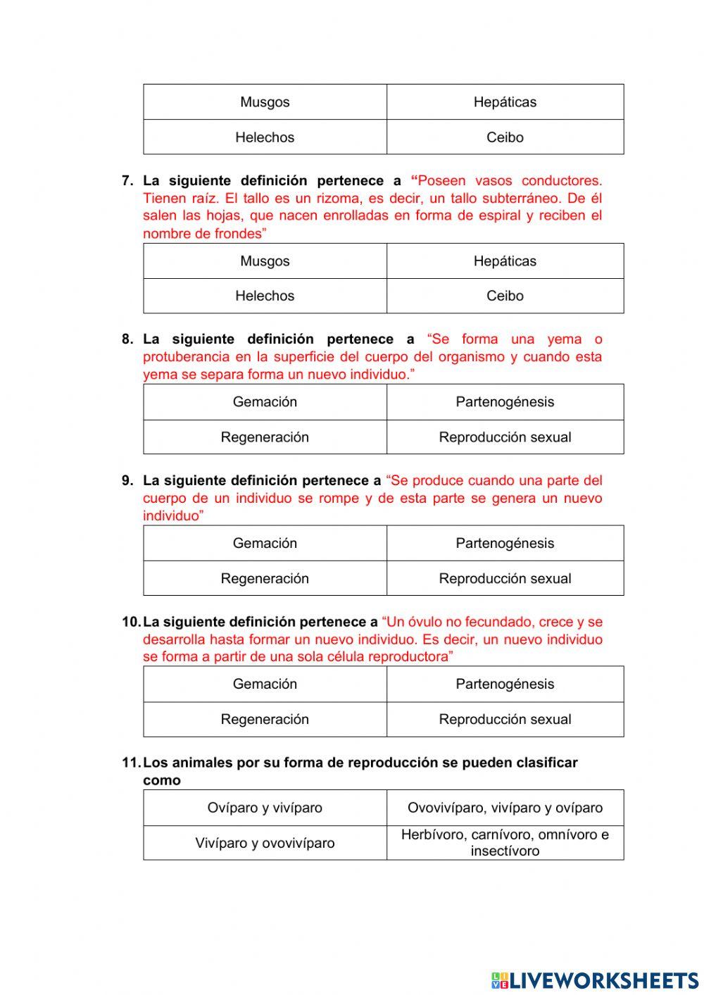 Cuestionarios 5to Egb