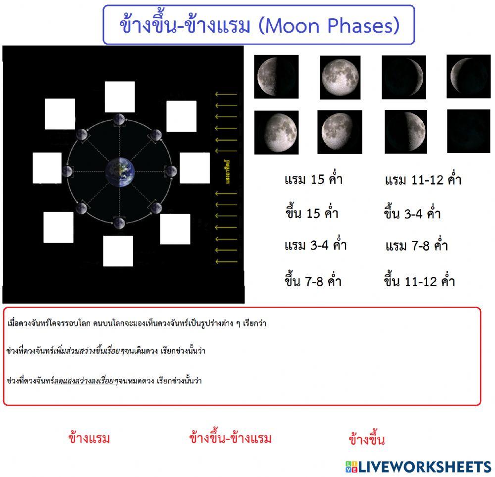 Moon Phases
