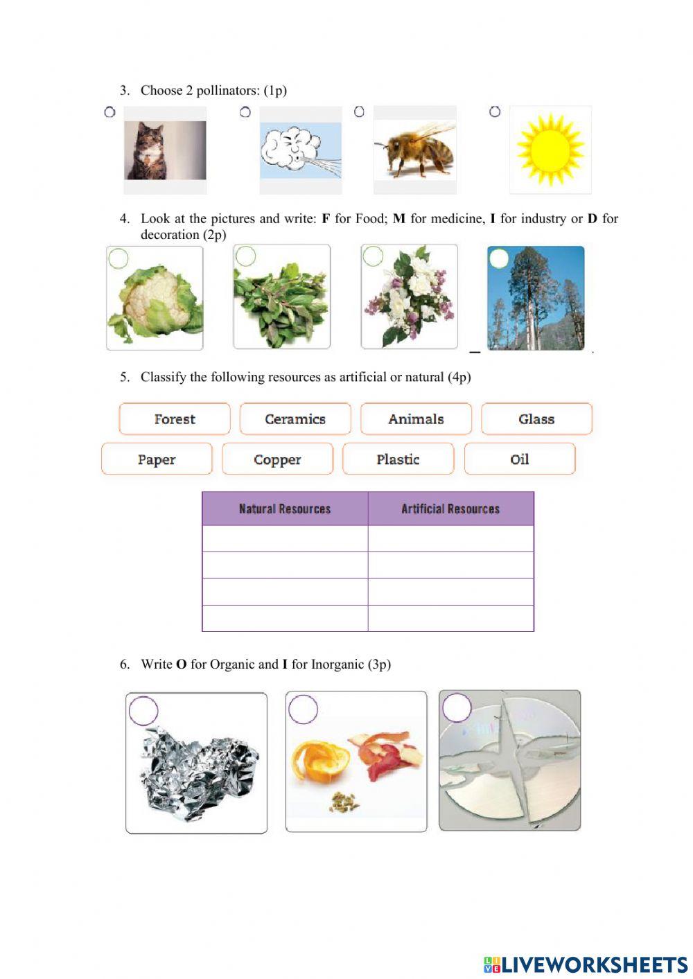 4th-science worksheet | Live Worksheets