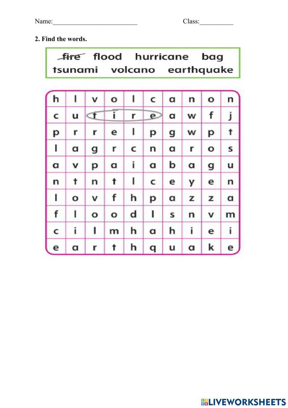Unit 2. Natural Disasters