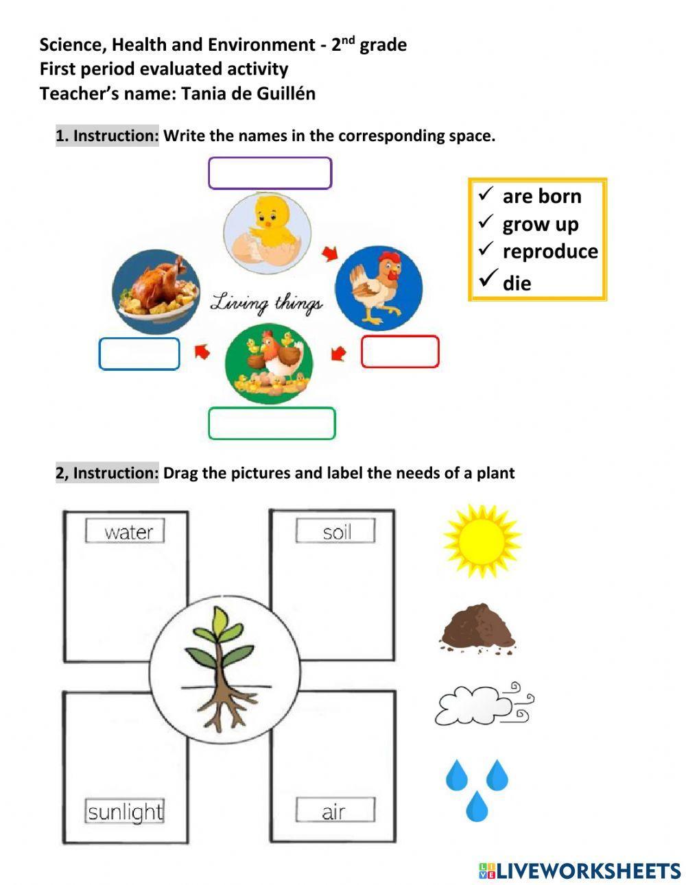 Living and non-living things