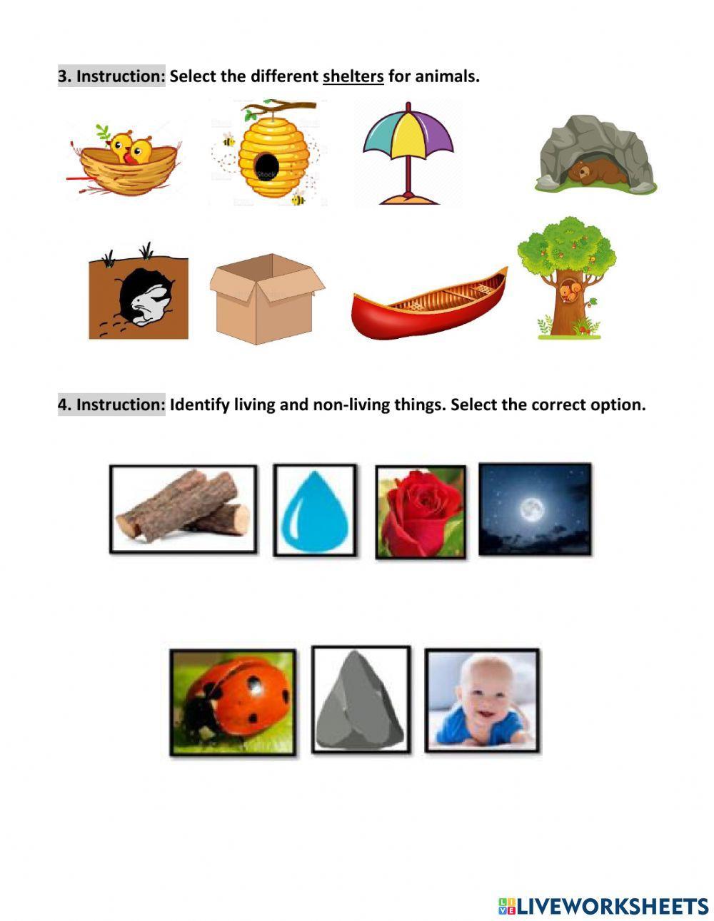 Living and non-living things