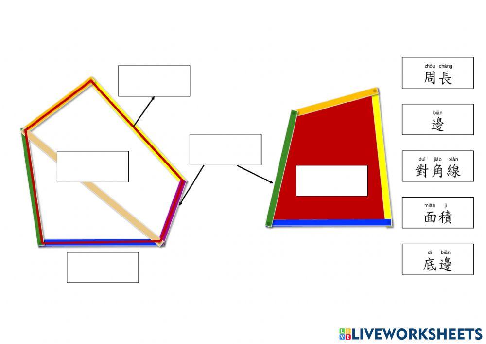 多邊形的組成部分