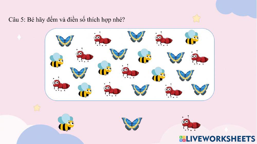 Vòng đời của Bướm