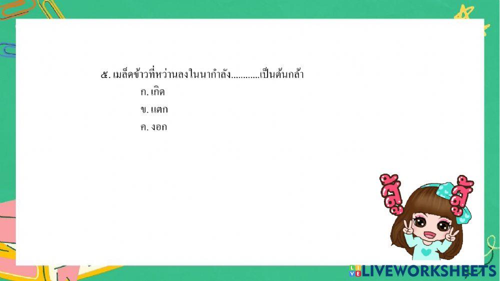 การอ่านรู้เรื่อง rt ป.1 ชุดที่ 1