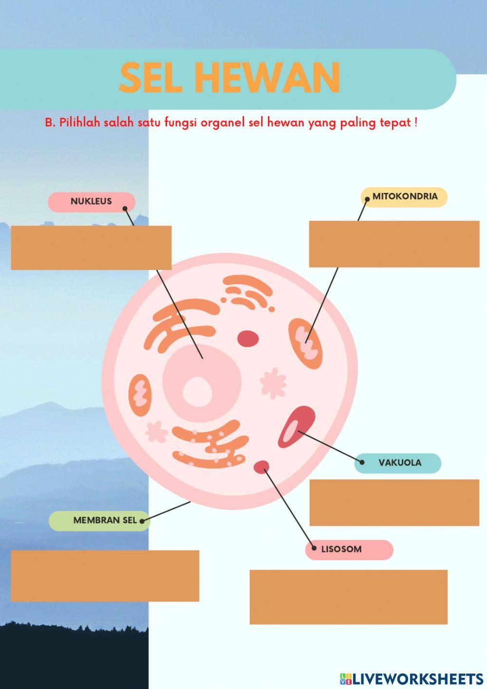 Sel tumbuhan dan hewan