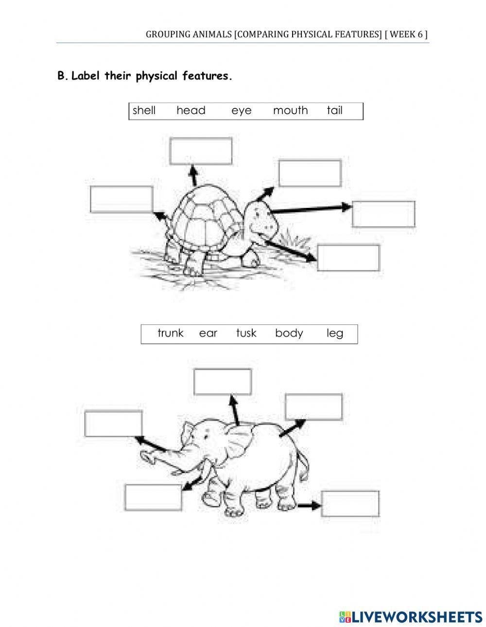 Grouping Animals (Comparing Physical Features)