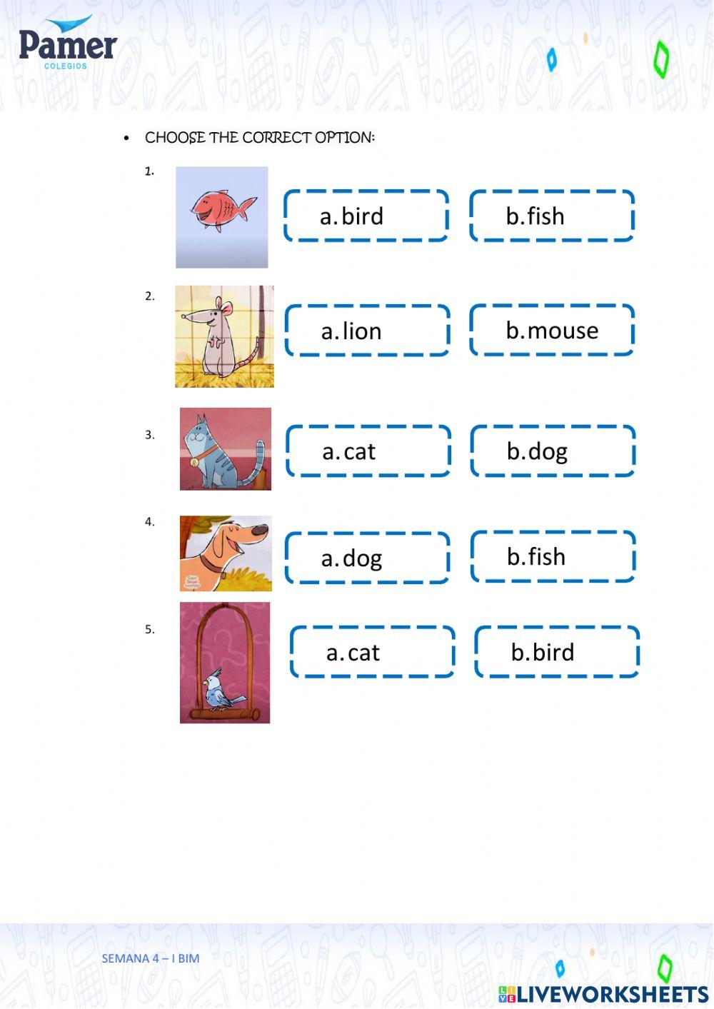SAL-SEM4-1.º grado-ING-I BIM-I have a pet