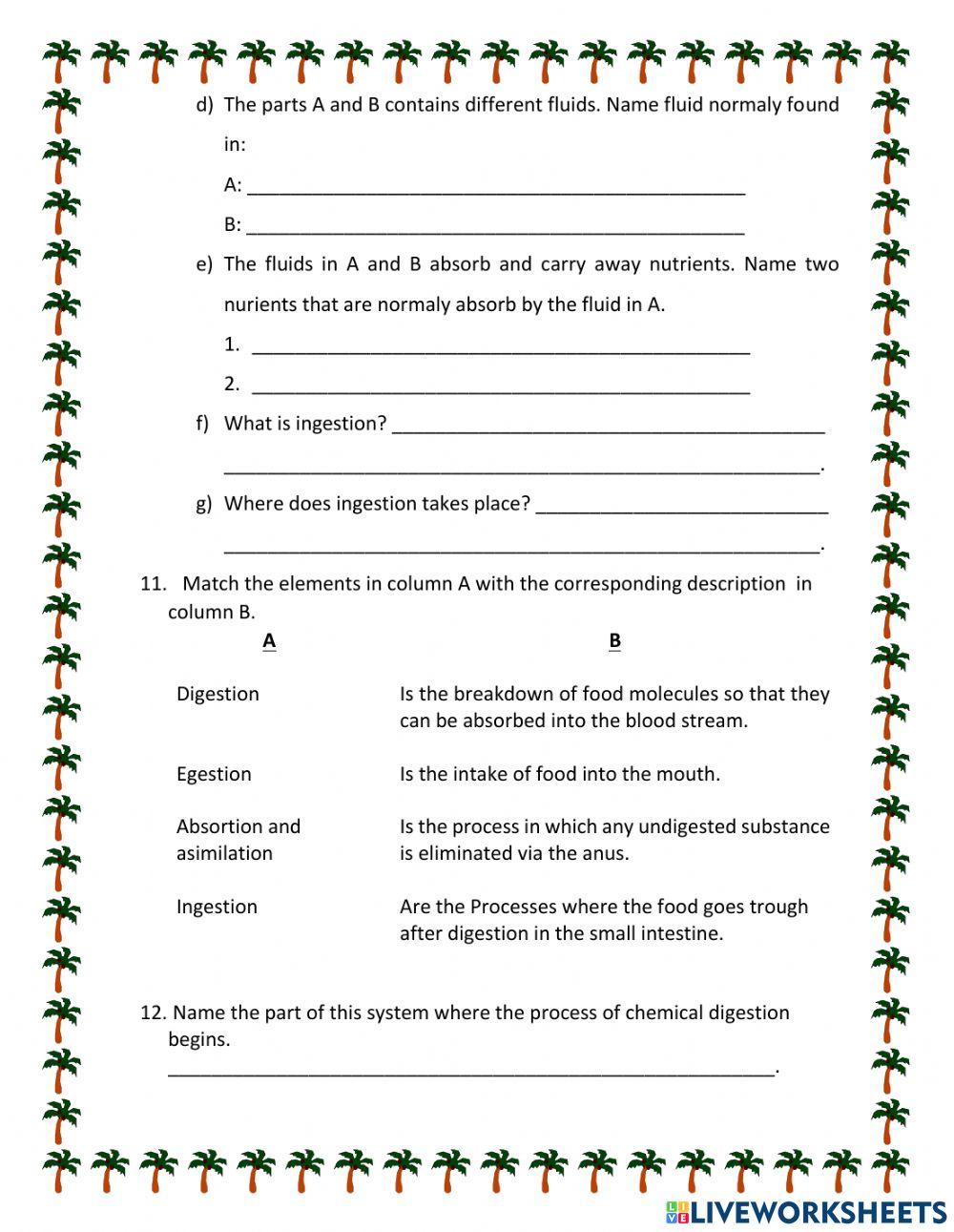 The Digestive System