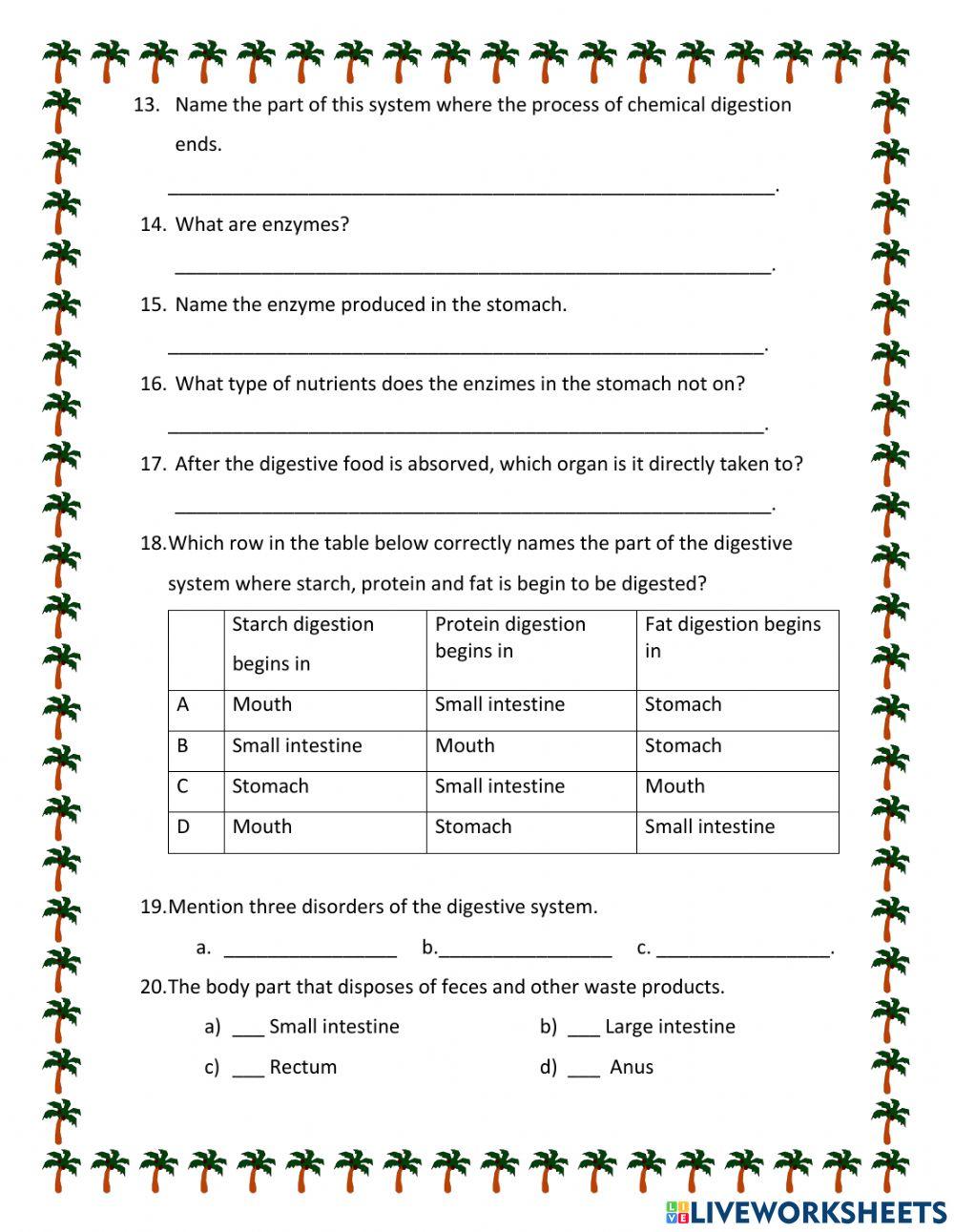 The Digestive System