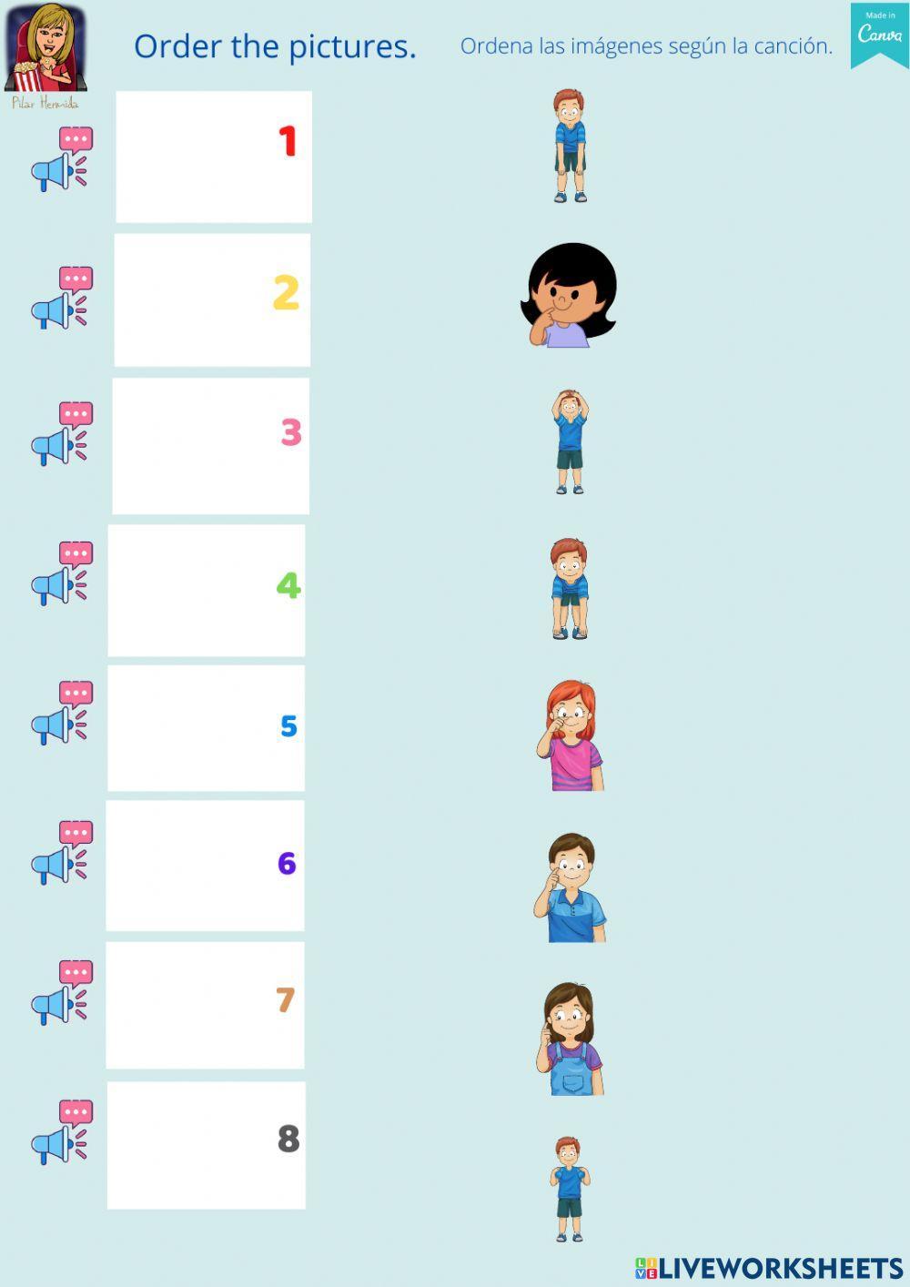 Song Head Shoulders Knees Toes