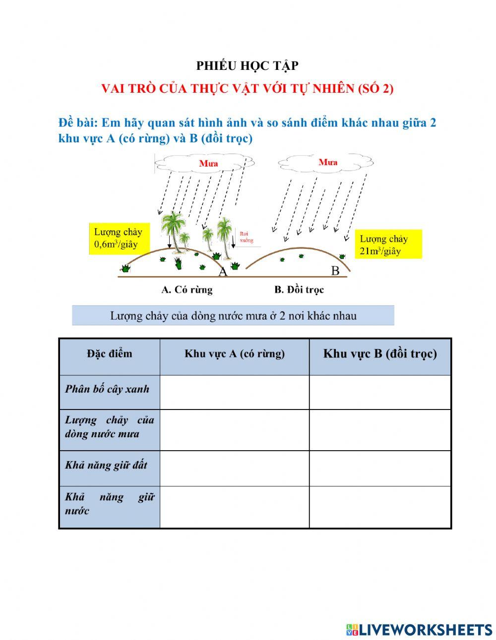 Thực vật chống xói mòn đất