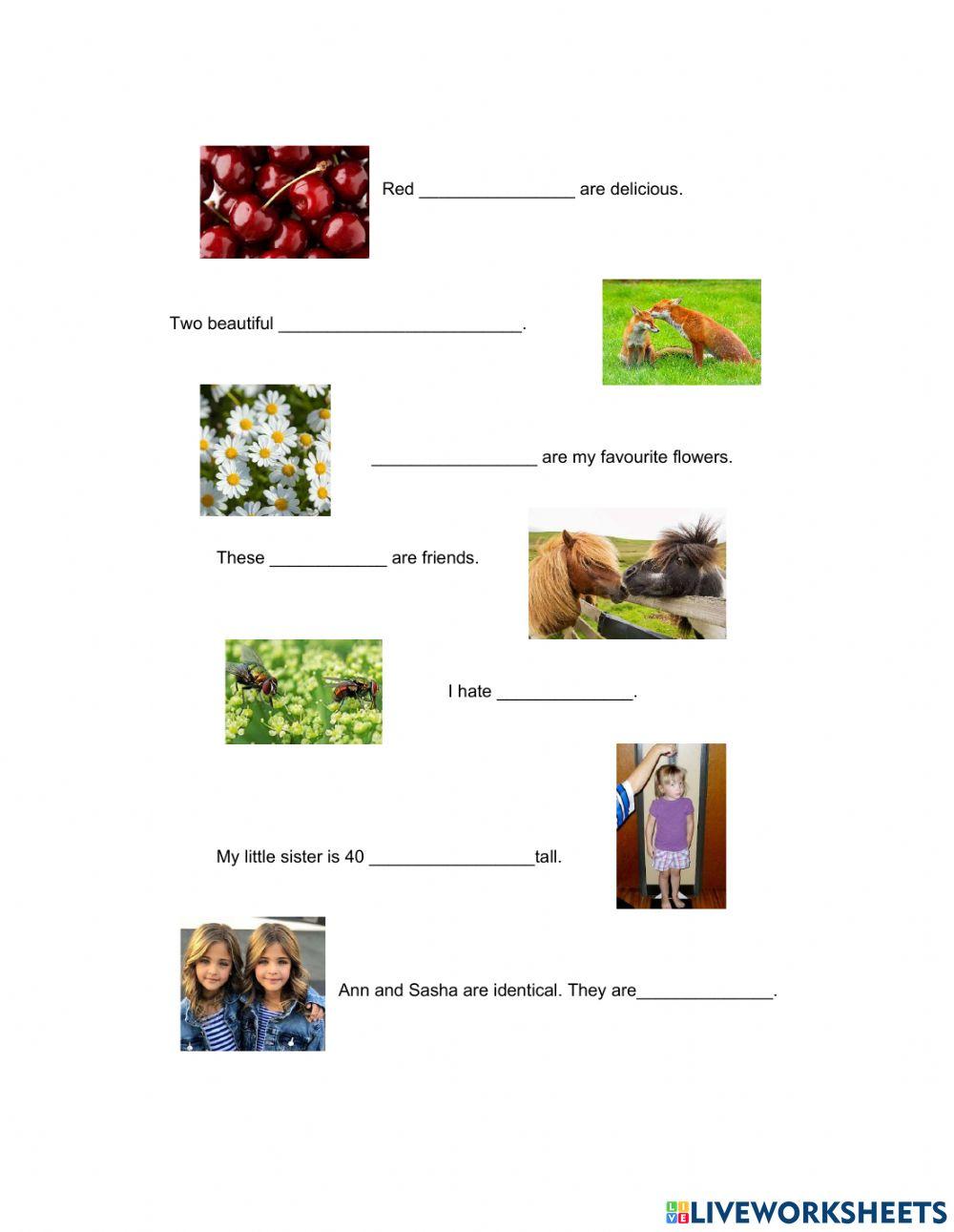 Spelling Unit 4 (Week 2)