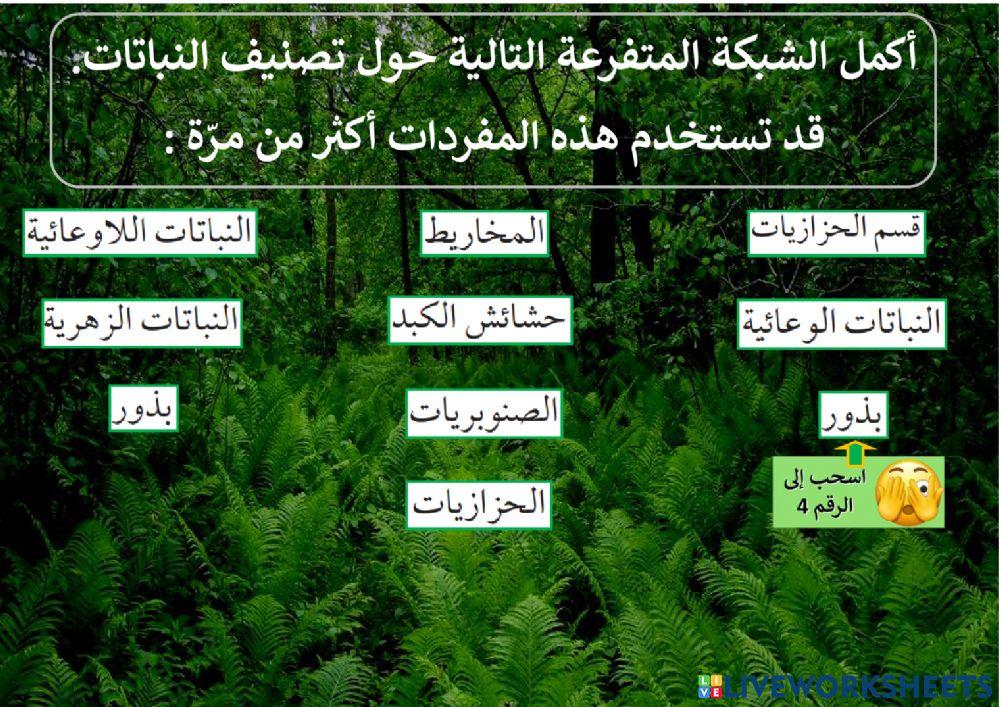 تقرير أحياء3 - تصنيف النباتات