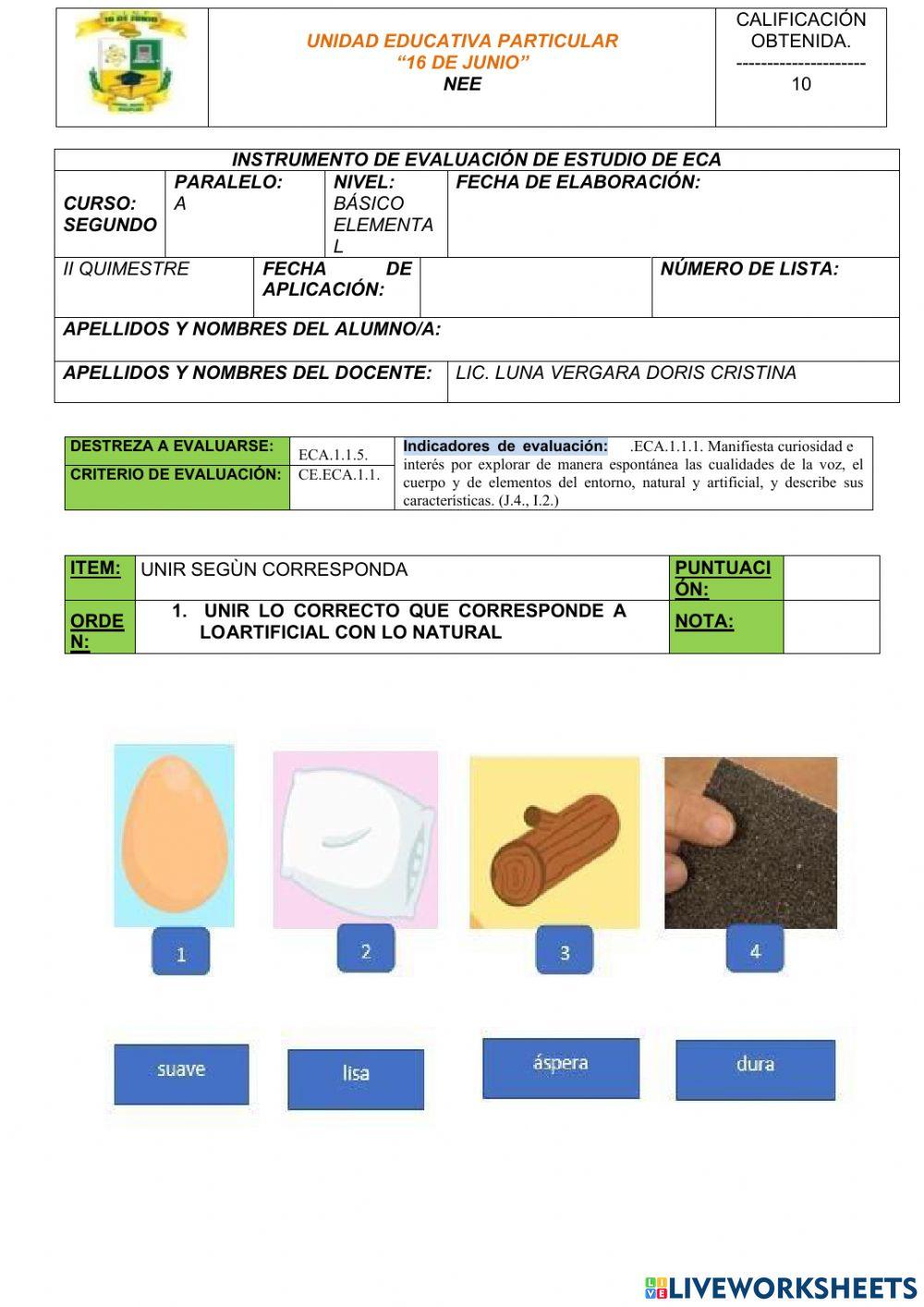 Evaluaciòn iiq eca nee segundo