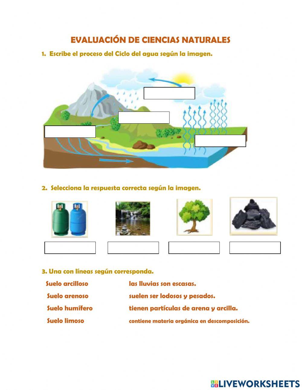 Evaluación de Ciencias Naturales