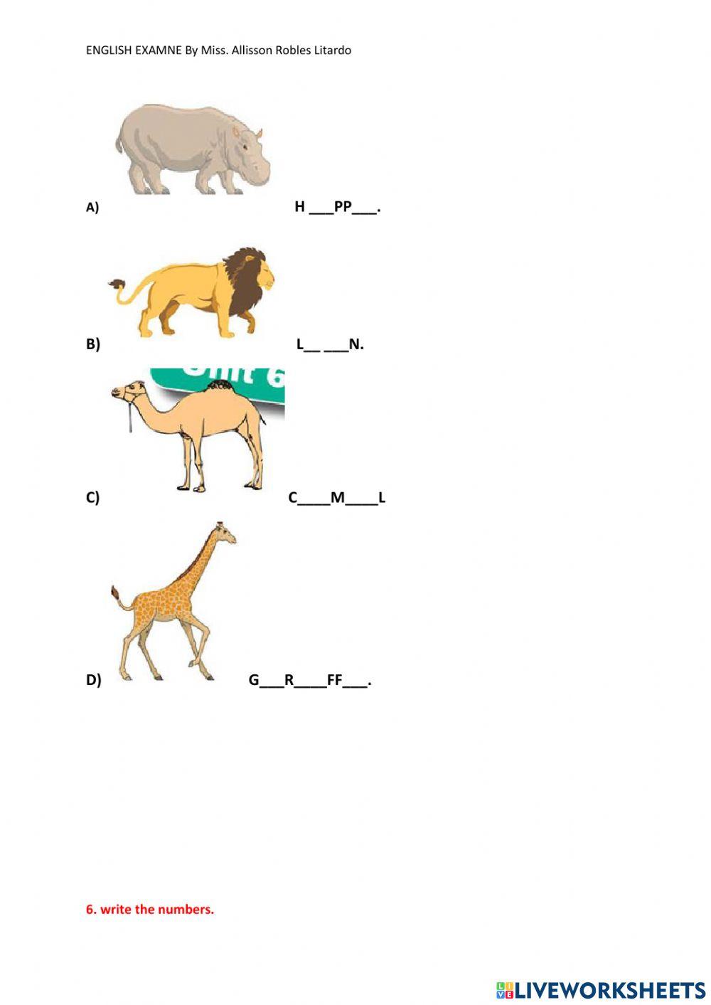 Second course segundo quemestre