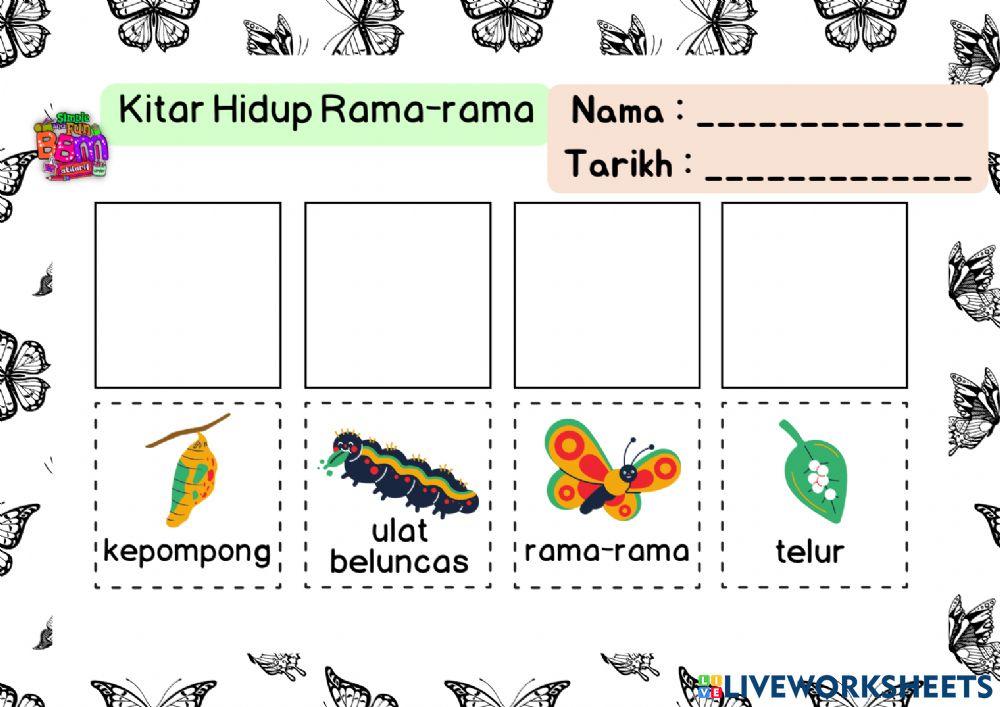 Kitar Hidup Katak dan Rama-rama