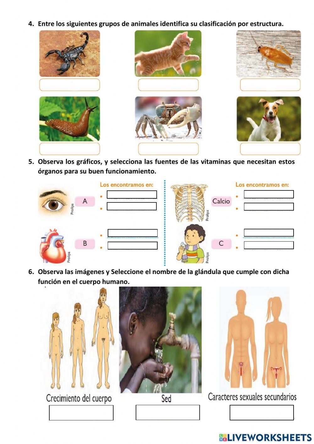 Cuestionario Virtual 6to EGB 2do Quim