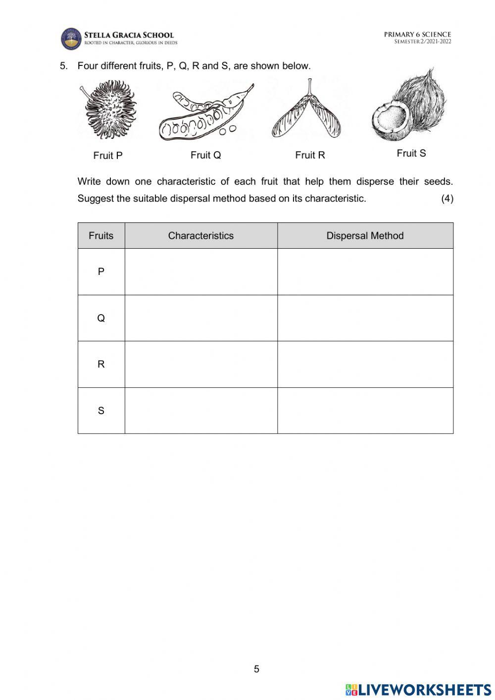 P6-Topical Test