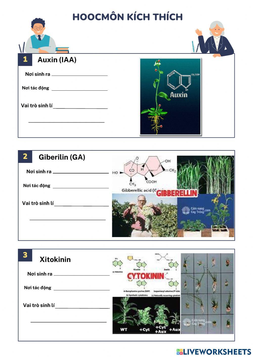 Hoocmôn thực vật