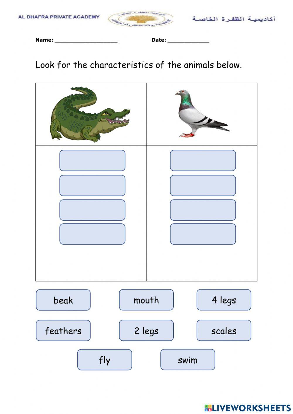 Plenary Compare and contrast