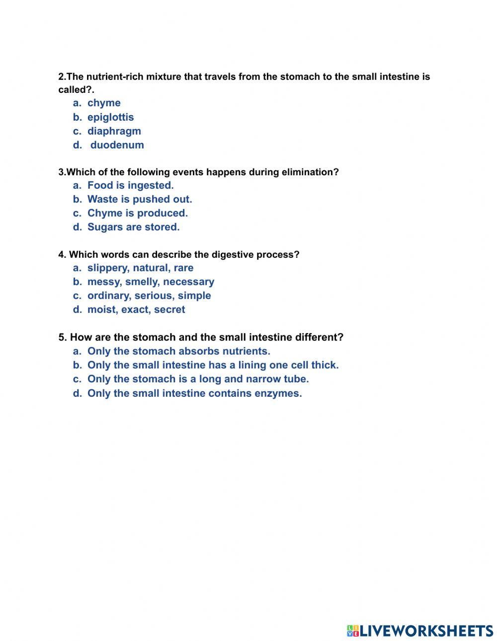 Unit 4 Who we Are: Digestive System