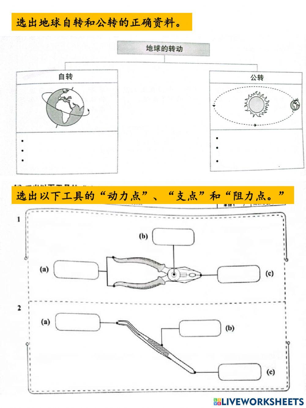 四年级科学 地球和杠杆 复习