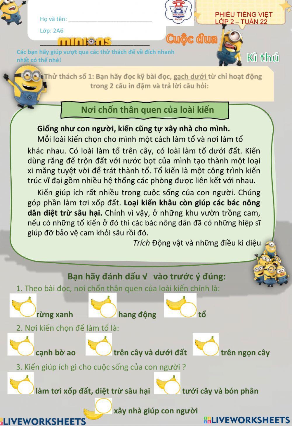 Phiếu ôn tập tuân 22