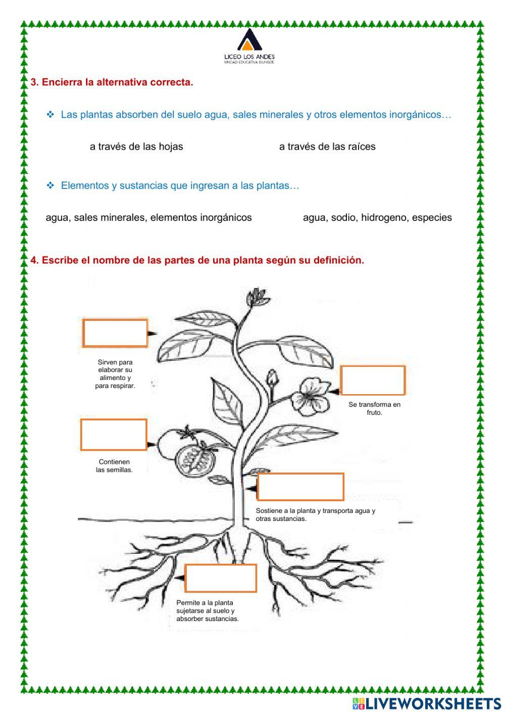 Examen de ccnn iiq 2022